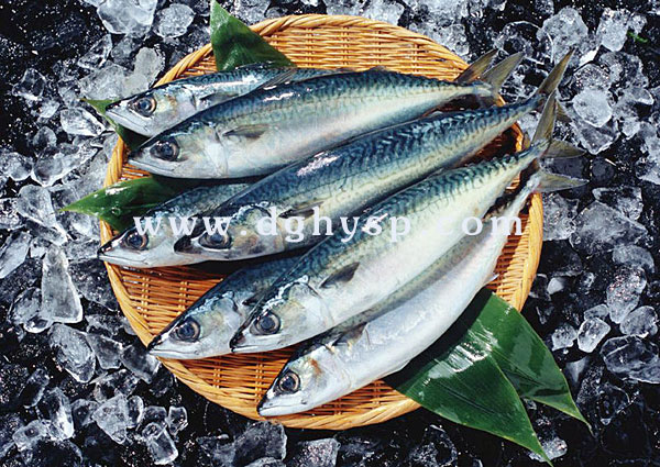 �T���~(y��)