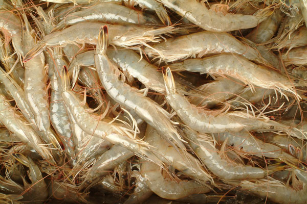 ��(du��)�r